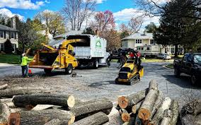 Best Tree Mulching  in Lake Summerset, IL